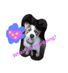 My Name Is Mama I'm a cute puppy（個別スタンプ：3）