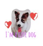 My Name Is Mama I'm a cute puppy（個別スタンプ：6）