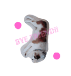 My Name Is Mama I'm a cute puppy（個別スタンプ：8）