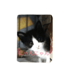 ふく と うみ（個別スタンプ：1）