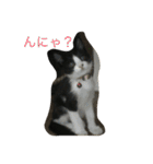 ふく と うみ（個別スタンプ：2）
