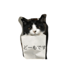 ふく と うみ（個別スタンプ：3）