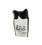 ふく と うみ（個別スタンプ：4）