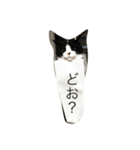 ふく と うみ（個別スタンプ：5）