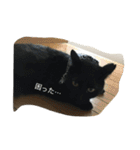 ふく と うみ（個別スタンプ：16）