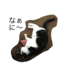 ふく と うみ（個別スタンプ：18）
