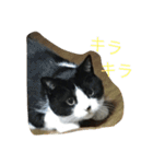 ふく と うみ（個別スタンプ：22）