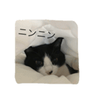 ふく と うみ（個別スタンプ：23）