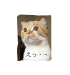 スコの兄弟（個別スタンプ：21）