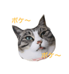 はなちゃんのきもち（個別スタンプ：3）