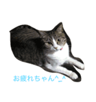 はなちゃんのきもち（個別スタンプ：7）