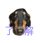 ケイン（個別スタンプ：5）