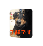 ケイン（個別スタンプ：6）