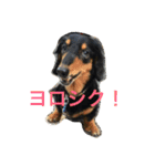ケイン（個別スタンプ：14）