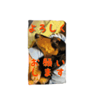 ケイン（個別スタンプ：15）