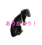ケイン（個別スタンプ：17）