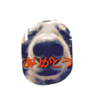 ケイン（個別スタンプ：18）