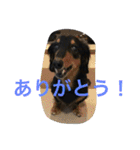 ケイン（個別スタンプ：19）