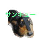 ケイン（個別スタンプ：20）