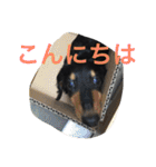 ケイン（個別スタンプ：24）
