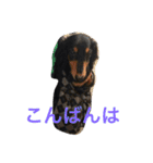 ケイン（個別スタンプ：25）