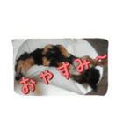 ケイン（個別スタンプ：26）