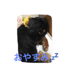 ケイン（個別スタンプ：27）