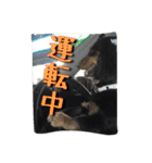 ケイン（個別スタンプ：30）