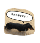ケイン（個別スタンプ：31）