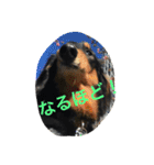 ケイン（個別スタンプ：32）
