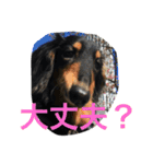 ケイン（個別スタンプ：38）