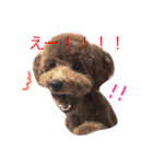 もこもこのもこ（個別スタンプ：1）