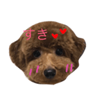 もこもこのもこ（個別スタンプ：3）