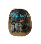 しょうたん2（個別スタンプ：2）