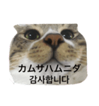 ポロロとモナカ（個別スタンプ：1）