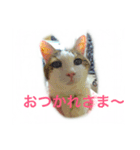 みーこの日常（個別スタンプ：6）