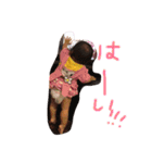 みぃたんたん（個別スタンプ：3）