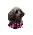 可愛いみるくちゃん（個別スタンプ：5）