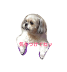 可愛いみるくちゃん（個別スタンプ：8）