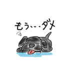 レオン君（個別スタンプ：8）