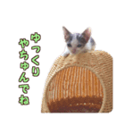 福花ママんち(2)（個別スタンプ：4）
