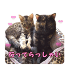 福花ママんち(2)（個別スタンプ：6）