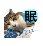 なるくんの日常。（個別スタンプ：4）