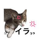 なるくんの日常。（個別スタンプ：7）