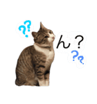 なるくんの日常。（個別スタンプ：17）