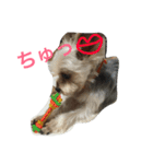 我が家のせばすちゃん！（個別スタンプ：18）