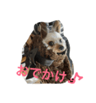 我が家のせばすちゃん！（個別スタンプ：21）