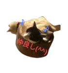 友達の猫（個別スタンプ：11）
