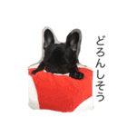 なちゃん（個別スタンプ：6）