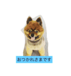 ぺぺカルミート2（個別スタンプ：5）
